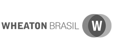 Logotipo Wheaton portfólio Estúdio E | Agência de Comunicação