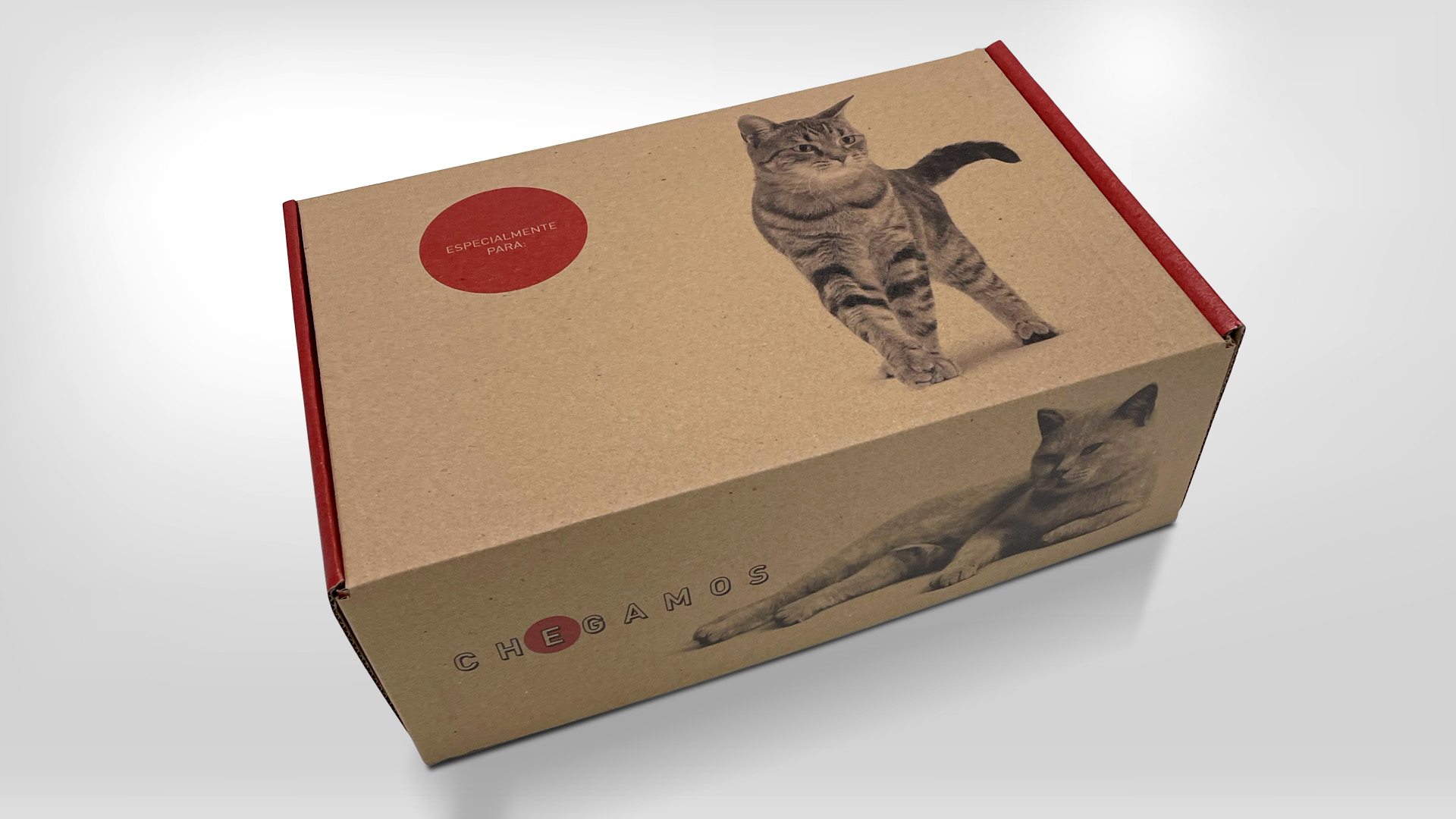 Imagem de caixa tipo correio para envio de press kit da campanha Meu Gato No Vet Royal Canin.