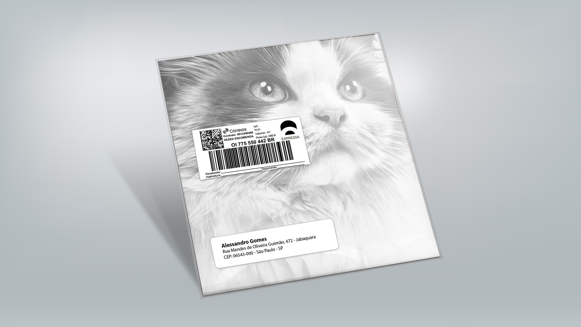 Imagem de envelope para envio de press kit da campanha Meu Gato No Vet Royal Canin.