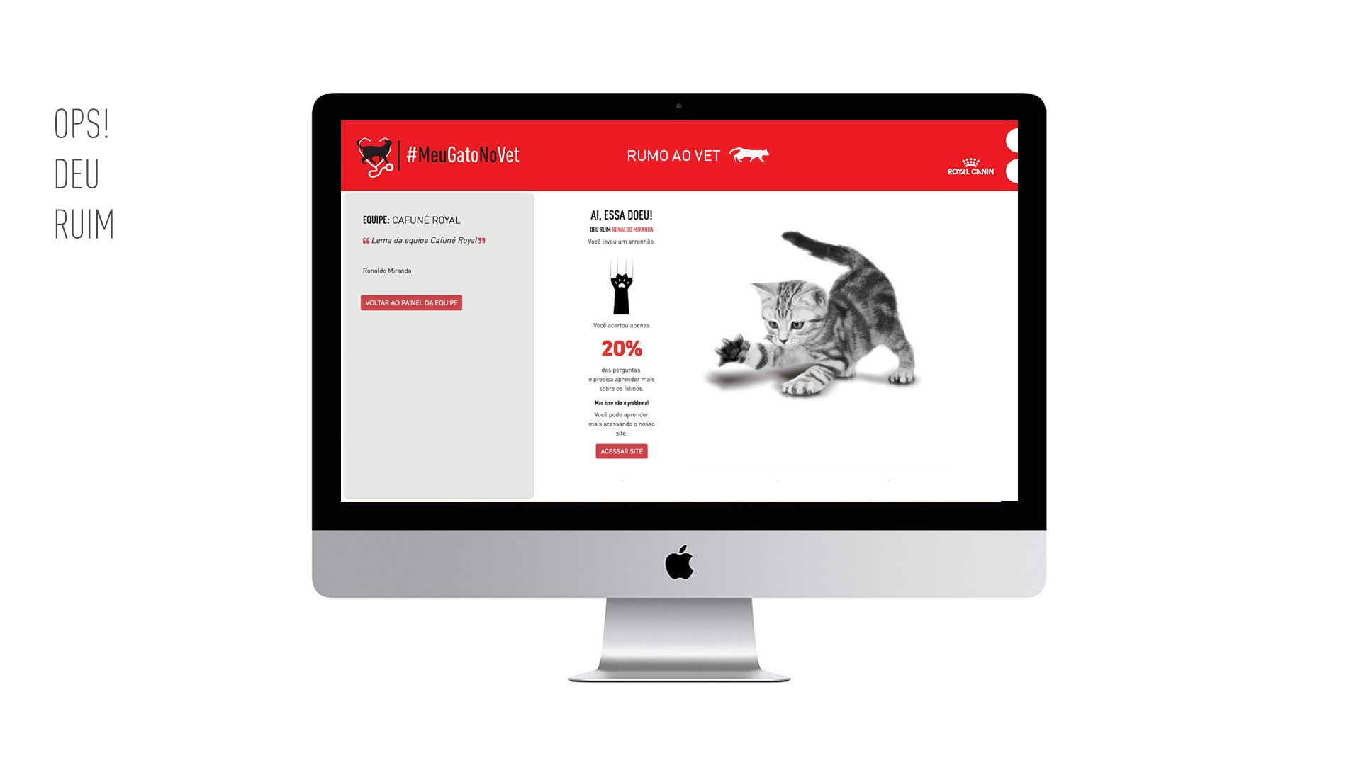 Imagem de computador com tela do game da campanha Meu Gato No Vet Royal Canin.