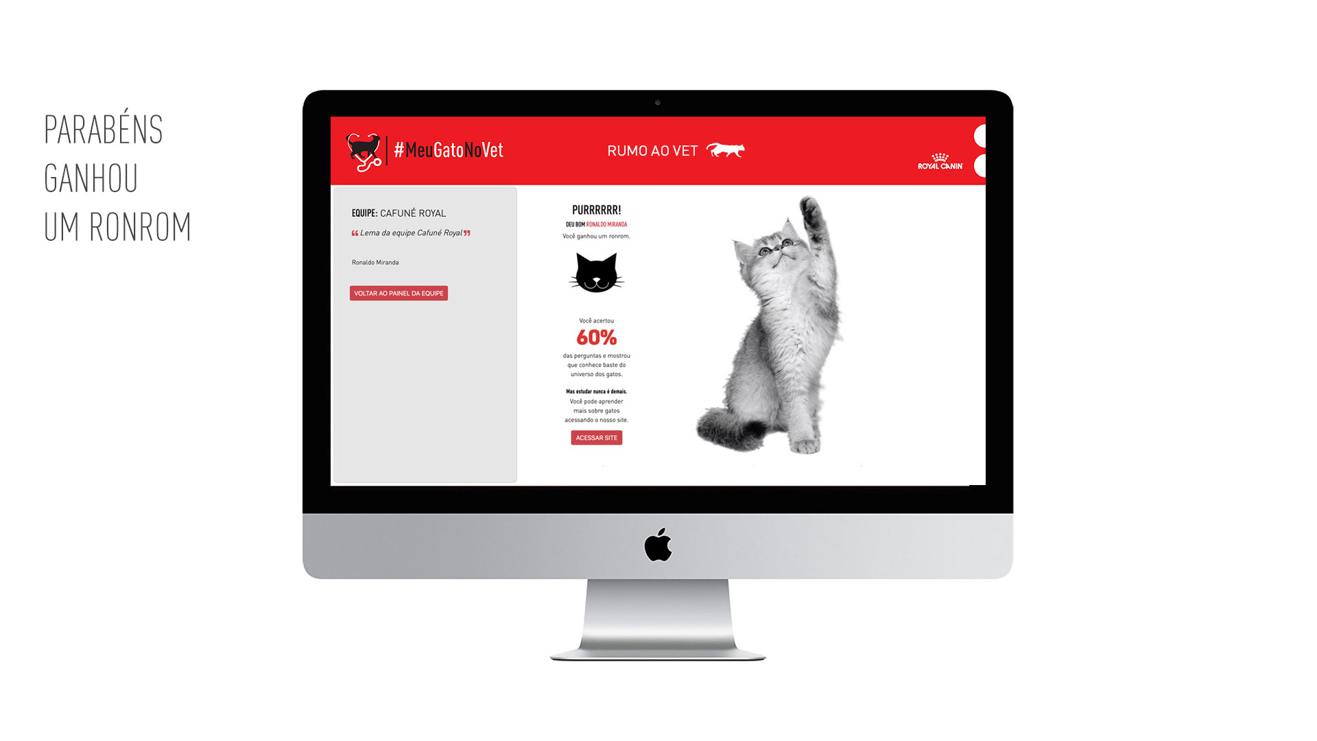 Imagem de computador com tela do game da campanha Meu Gato No Vet Royal Canin.