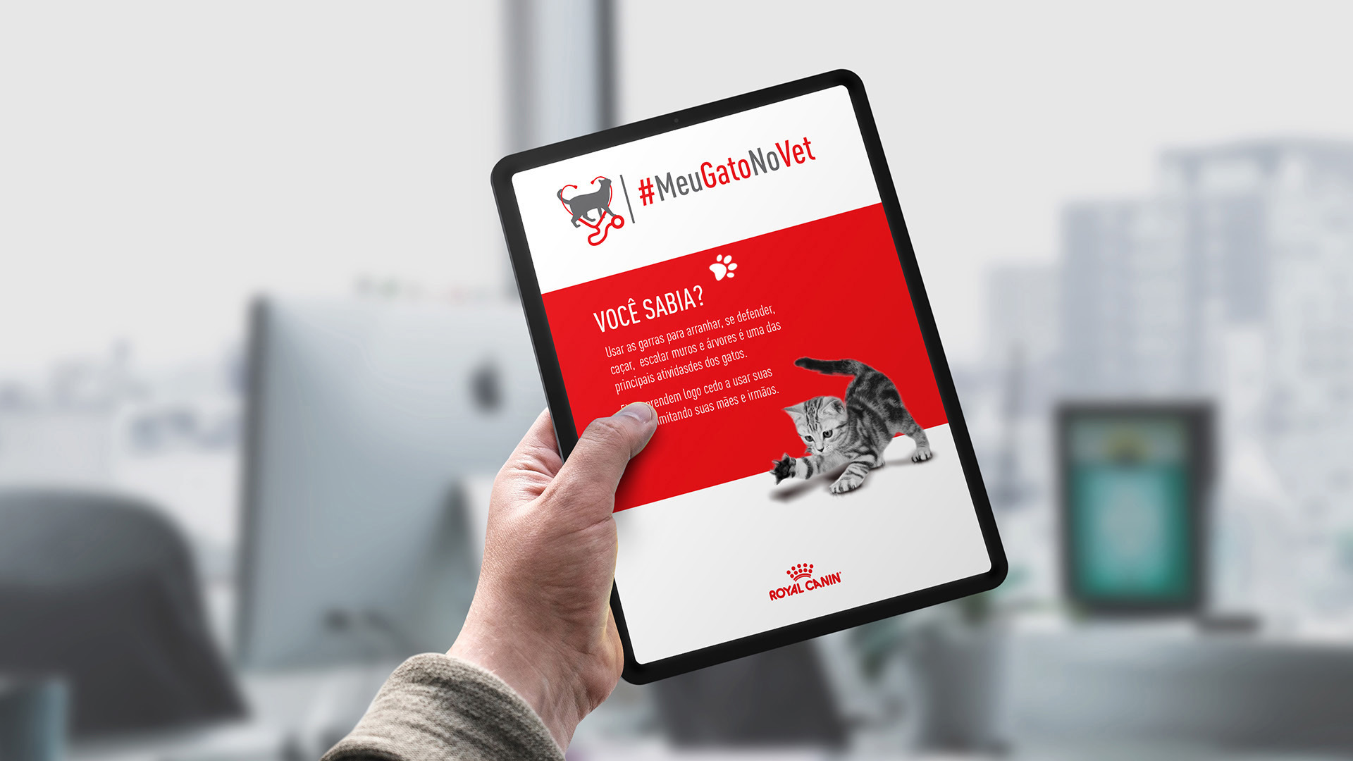 Foto de mão segurando tablet com comunicação da campanha Meu Gato No Vet Royal Canin.