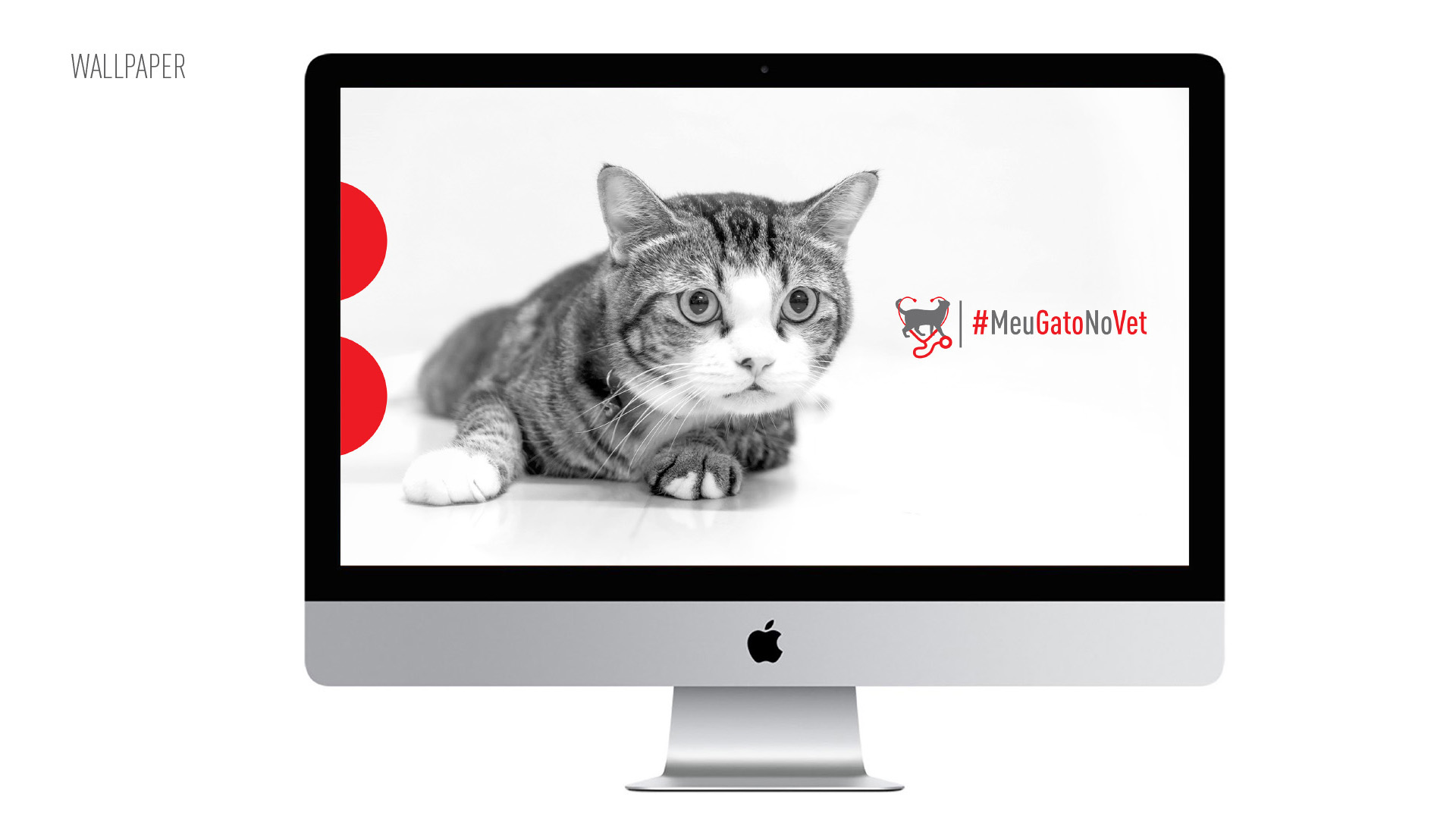 Foto de computador com imagem de wallpaper com gato da campanha Meu Gato No Vet Royal Canin.